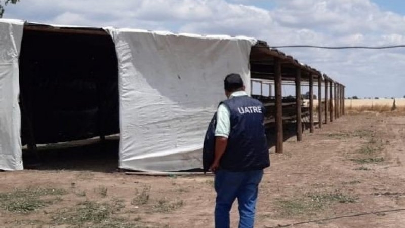 Detectaron infracciones laborales en tambos y un establecimiento av&iacute;cola de la regi&oacute;n